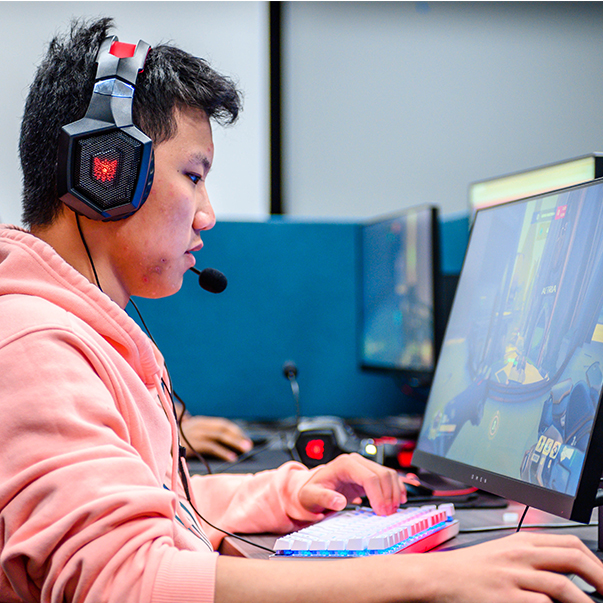 esports - 15 Free Mental Health and Wellness Resources for LMU Students